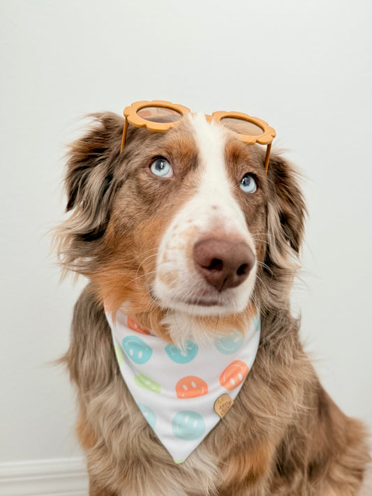 Sunshine Smiles Dog Bandana