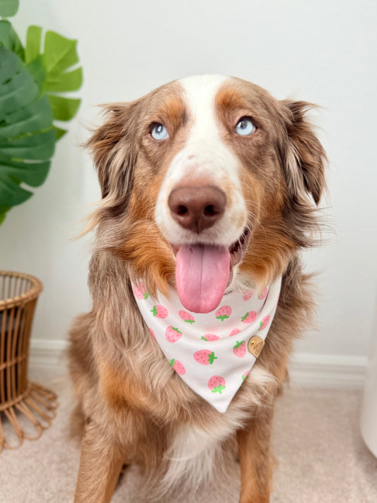 Berry Sweet Dog Bandana