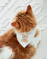 American Dreamer Dog Bandana