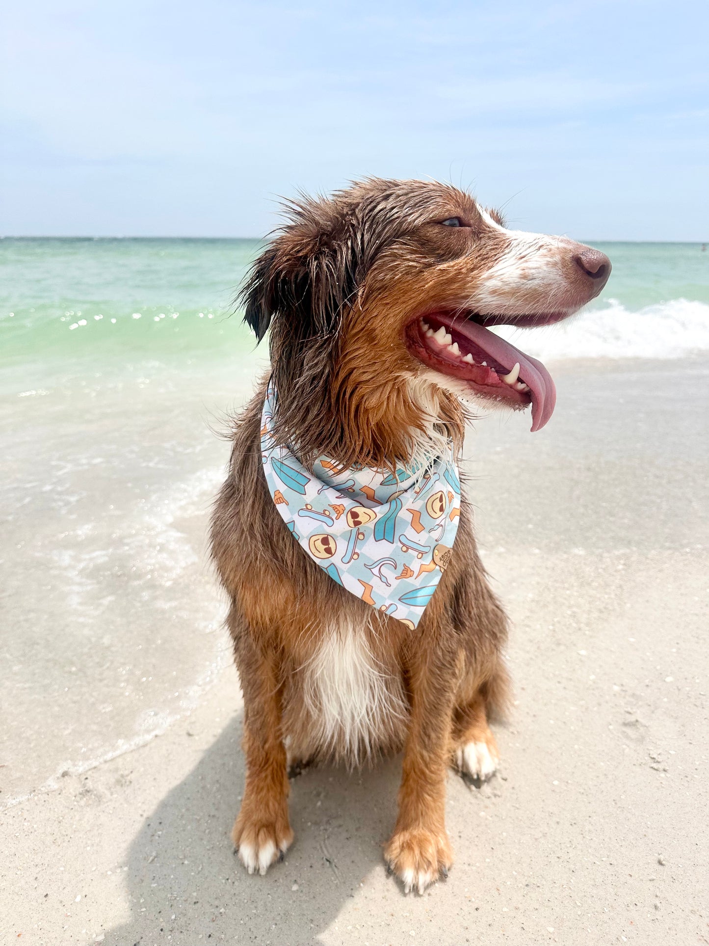 Retro Surfing Pet Bandana