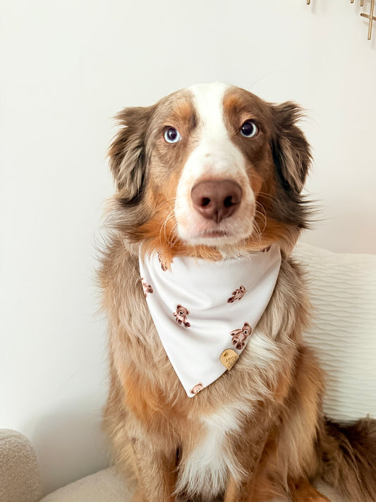 Teddy Bear Dog Bandana
