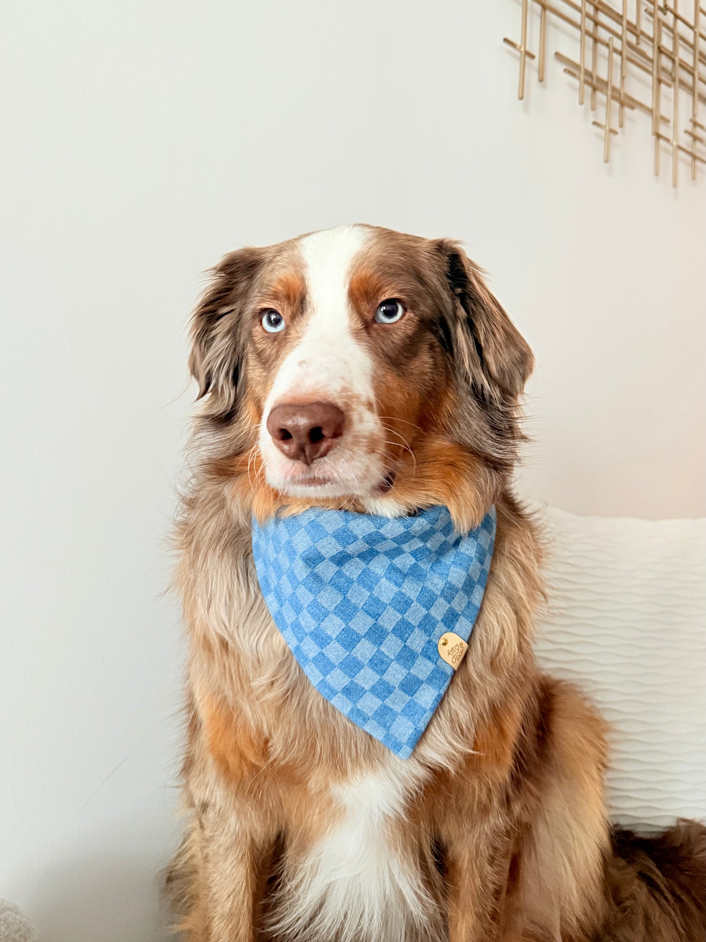 Denim Gingham Dog Bandana
