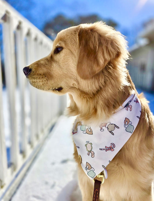 Holiday Grouch Pet Bandana