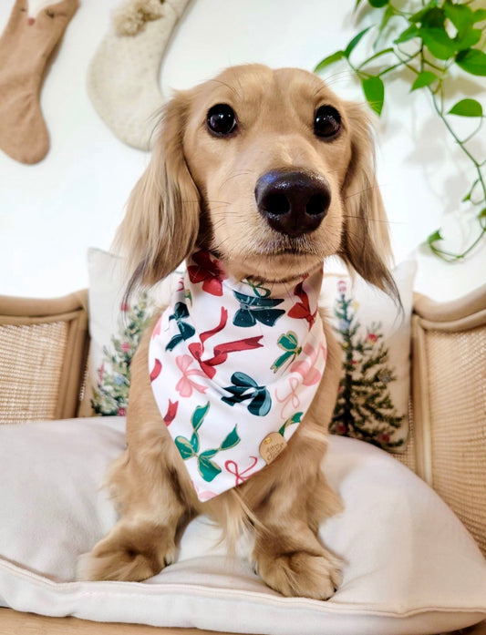 Christmas Bows Pet Bandana