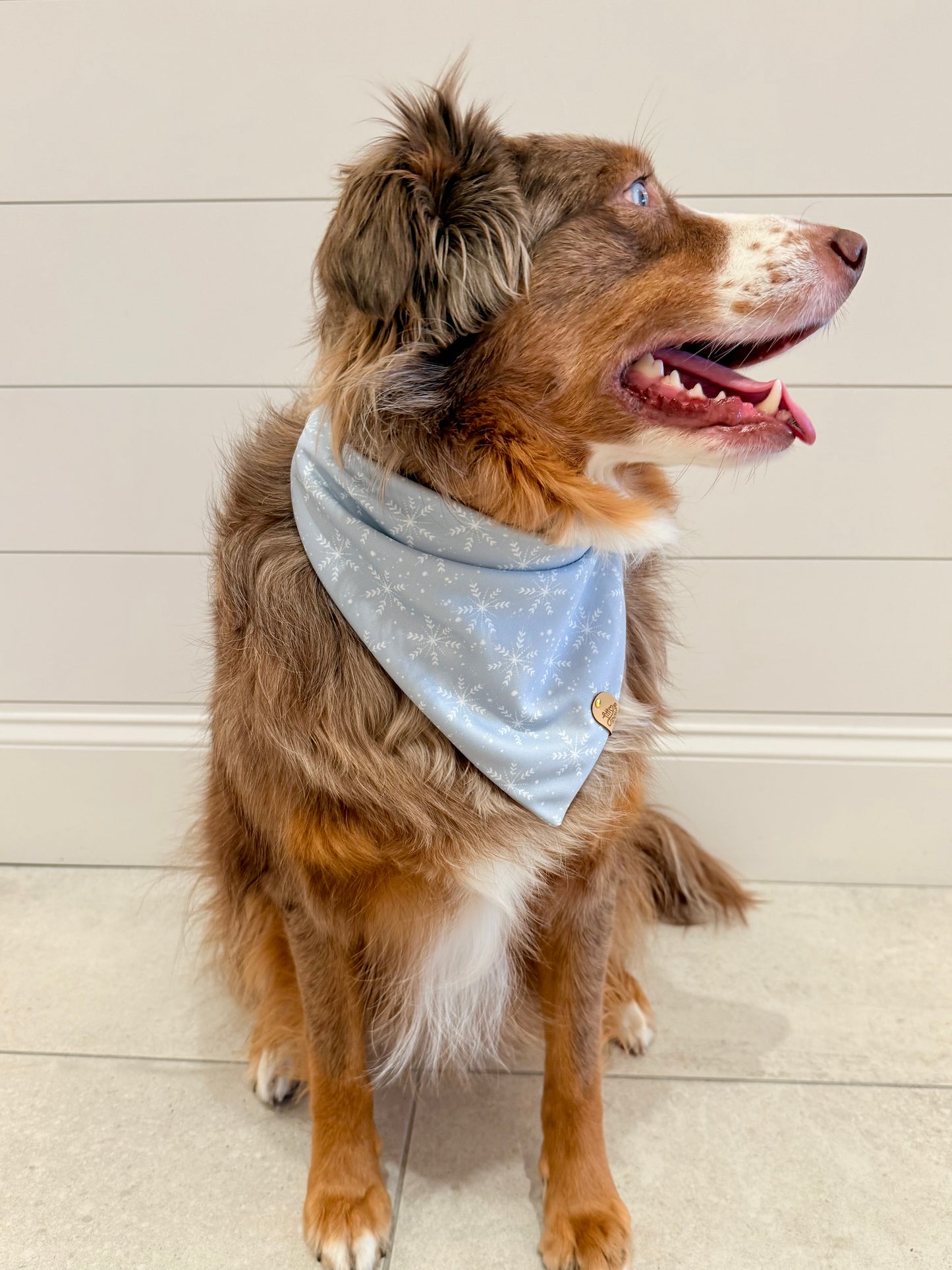 Frosted Snowflake Pet Bandana