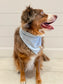 Frosted Snowflake Pet Bandana