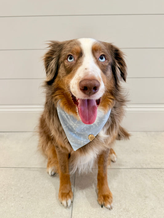 Frosted Snowflake Pet Bandana