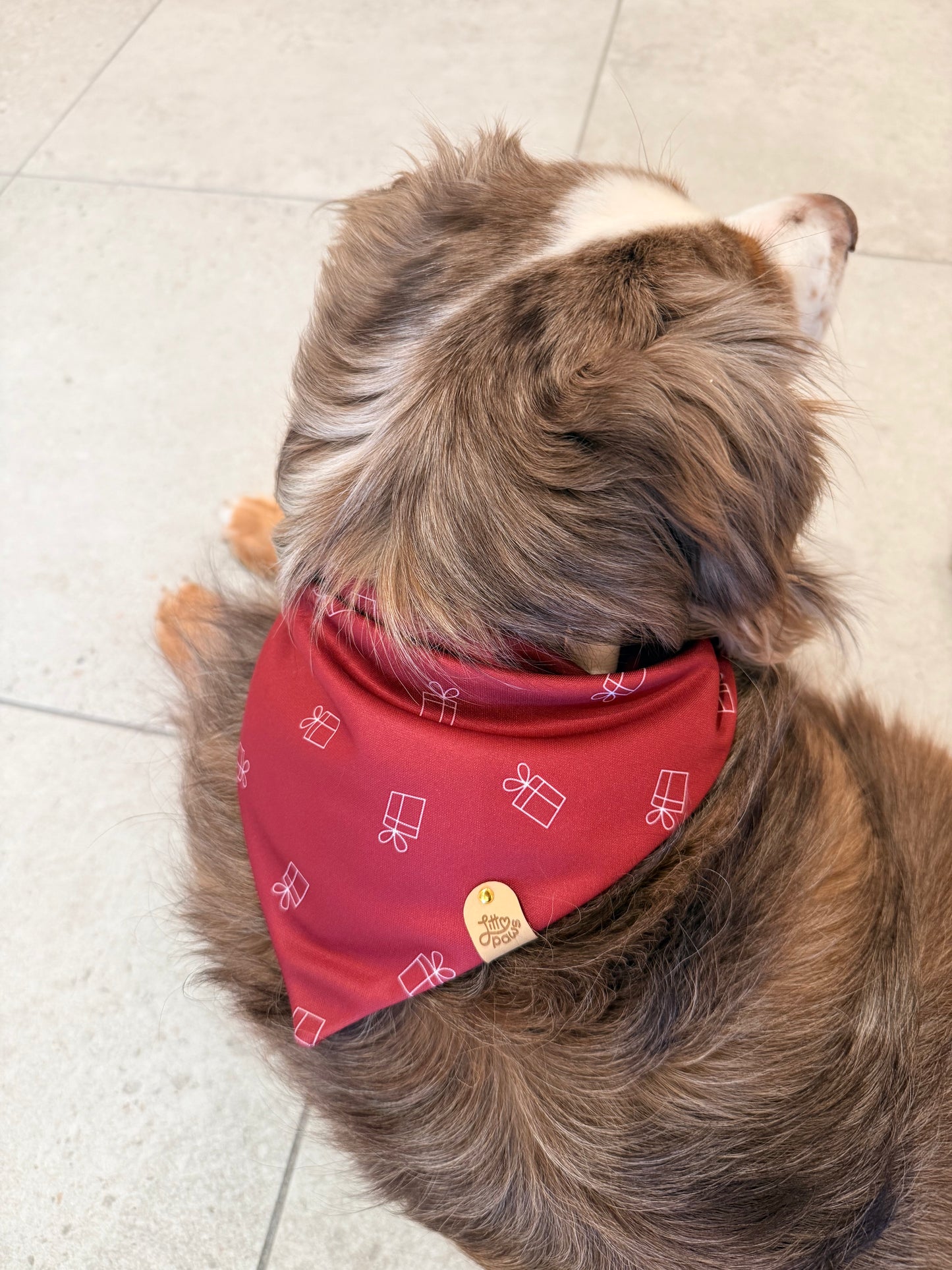 Holiday Gift Box Pet Bandana