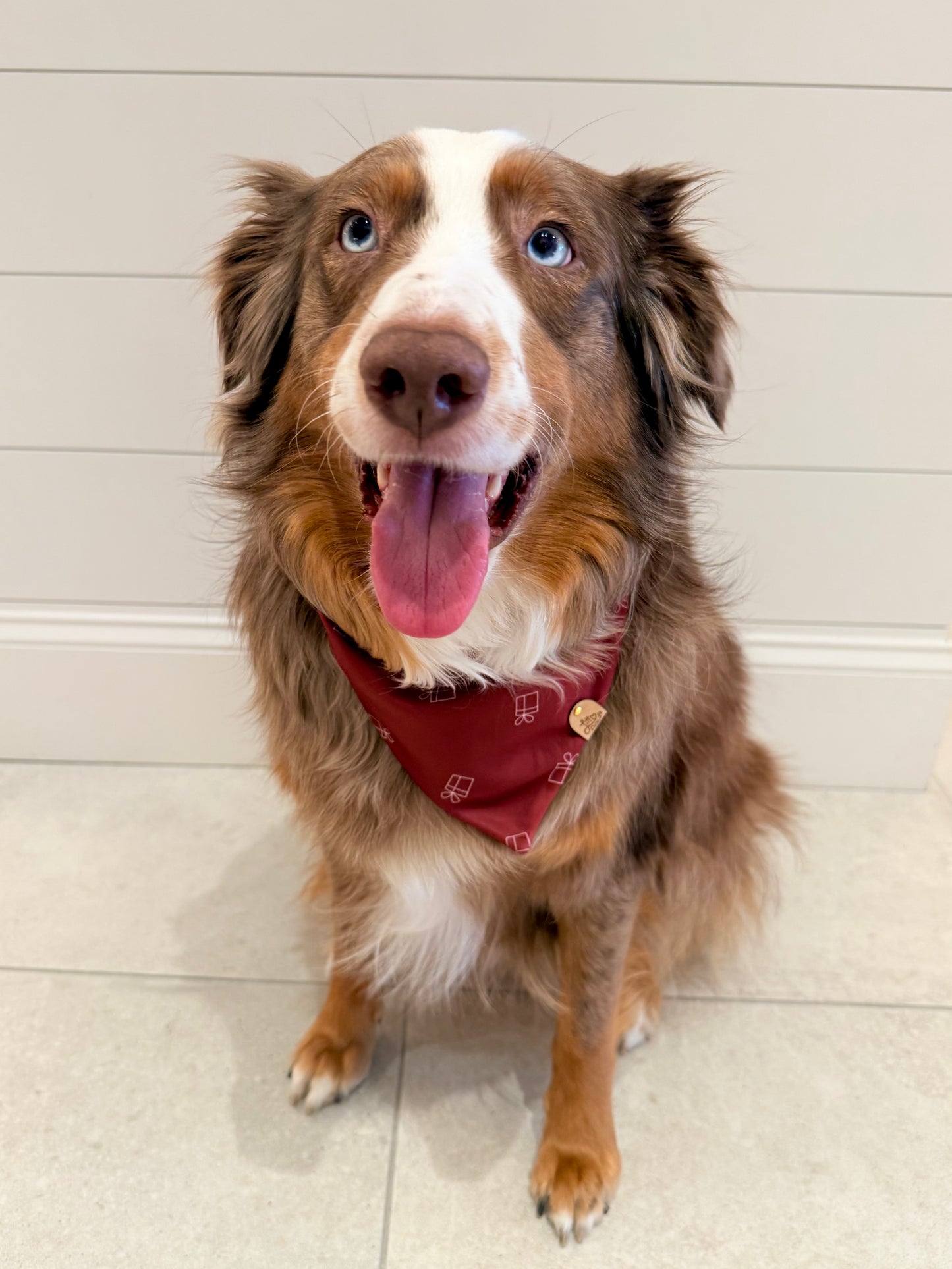 Holiday Gift Box Pet Bandana