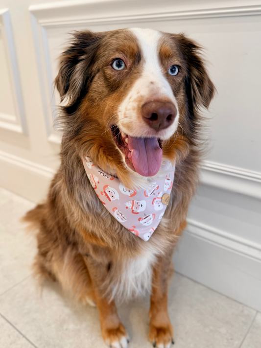 Santa Mugs Pet Bandana