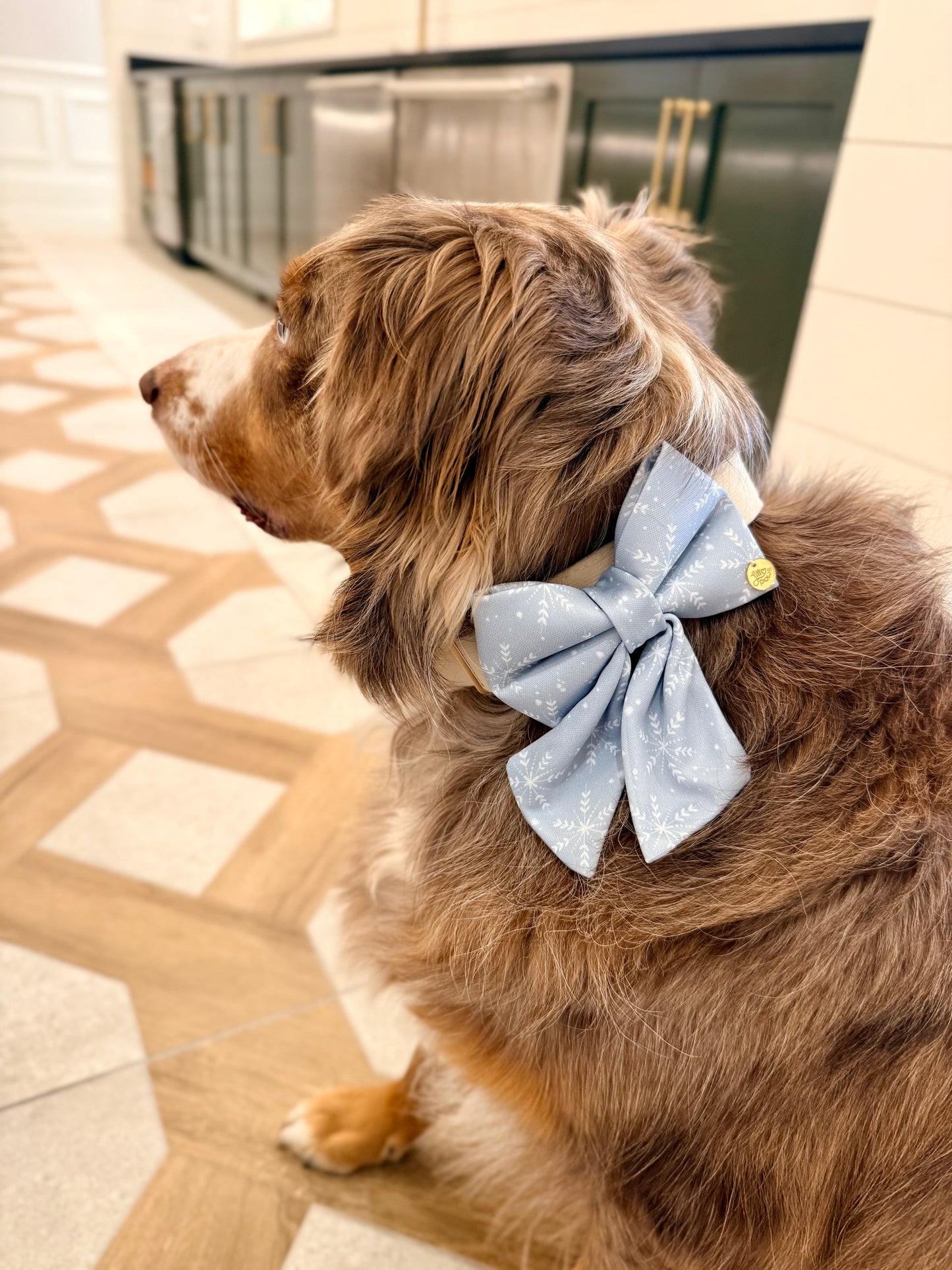 Frosted Snowflake Dog Bow