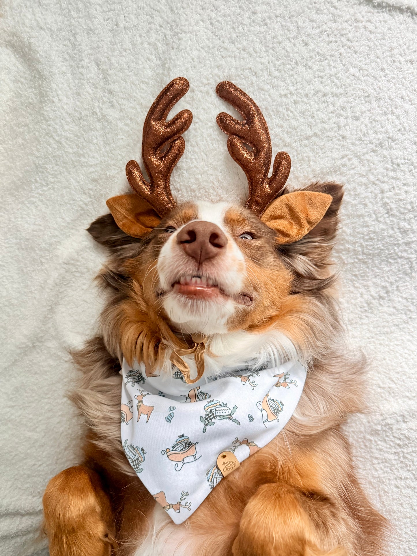 Reindeer Pet Bandana