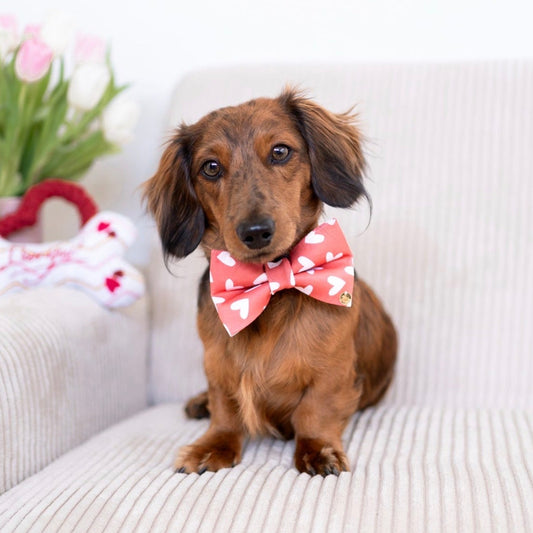 Classic Red & White Hearts Pet Bow