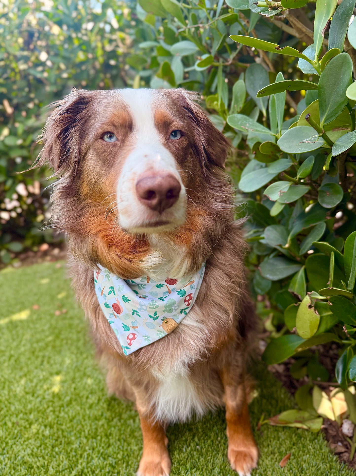Green Nature Dog Bandana