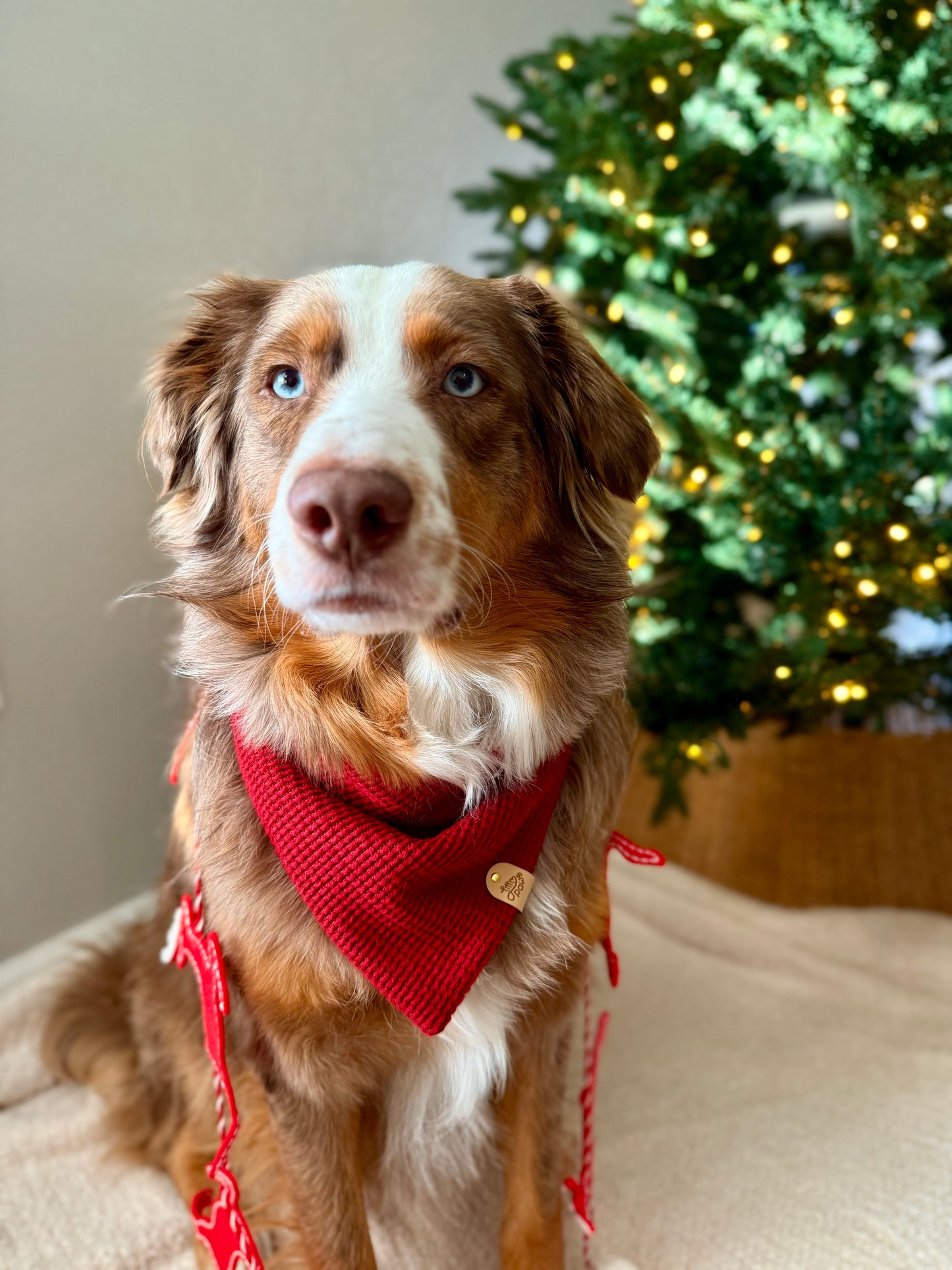 Christmas Red Knit Pet Bandana