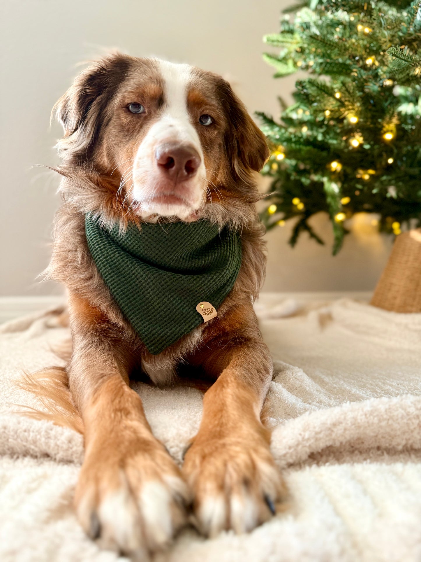 Christmas Green Knit Pet Bandana