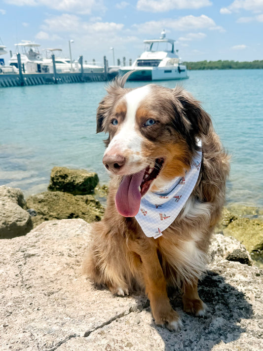 Harbor Days Dog Bandana