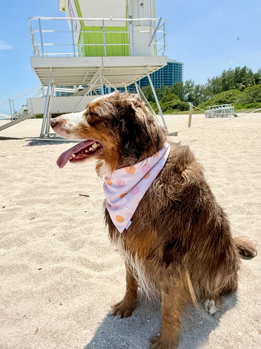 Sunny Daze Dog Bandana