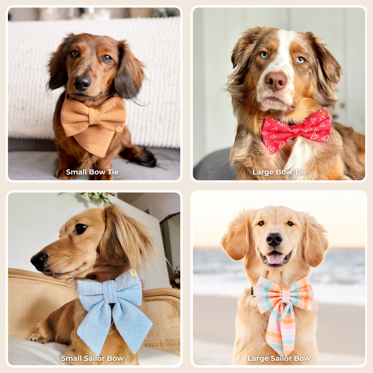 Classic Red & White Hearts Pet Bow