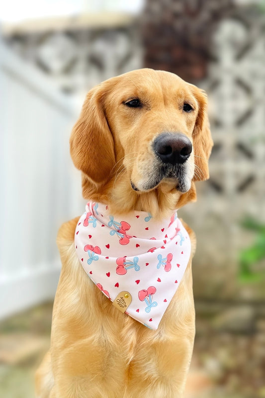 Sweetheart Cherries Pet Bandana