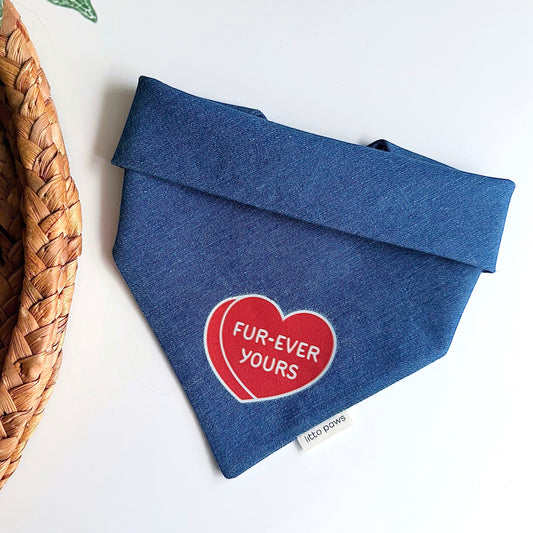 Valentine's Day Pet Bandana