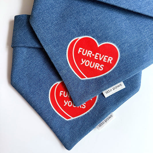 Valentine's Day Pet Bandana