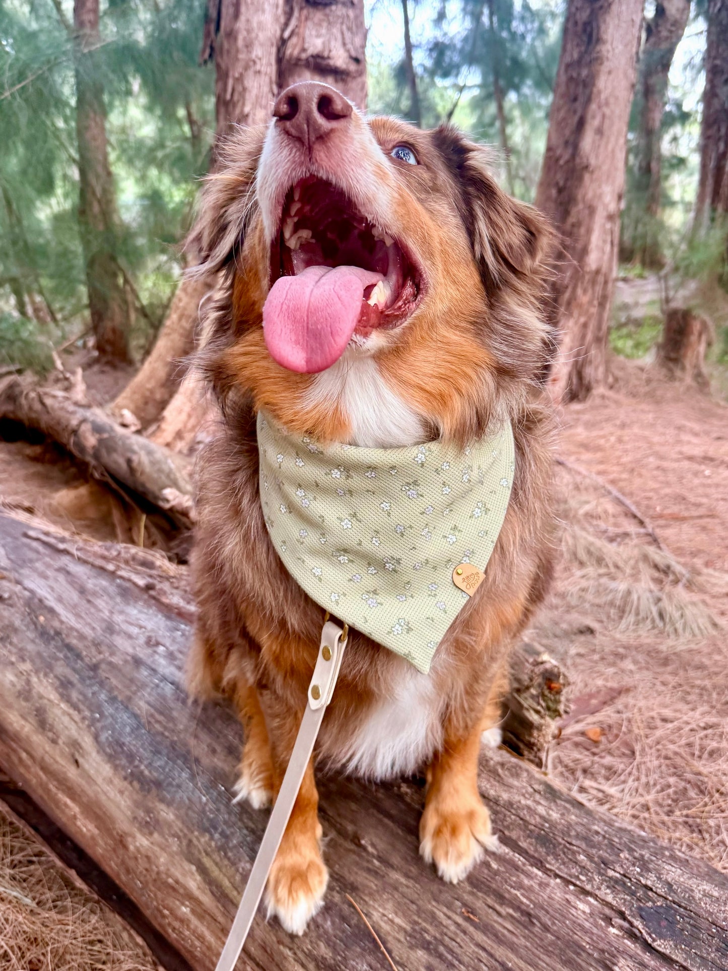 Green Floral Dog Bandana