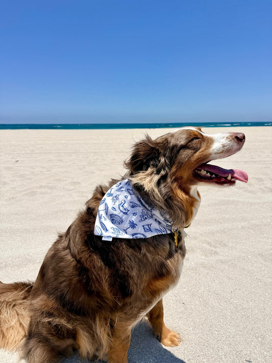 Coastal Club Dog Bandana