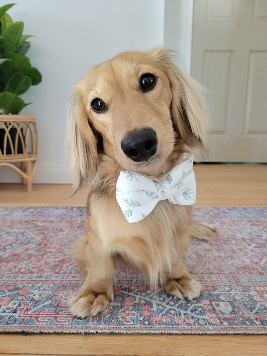 Knit Nature Pet Bow