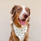 White and Green Polka Dot Knit Pet Bandana