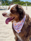 Sunny Daze Dog Bandana