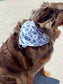 Coastal Club Dog Bandana